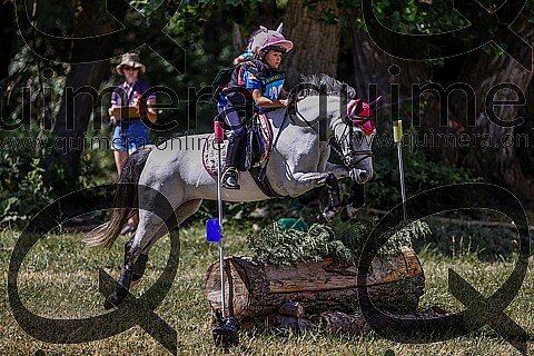 PONIS B 