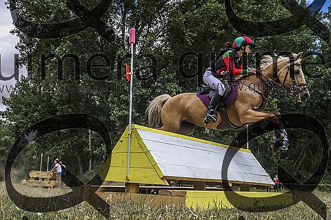 PONIS C