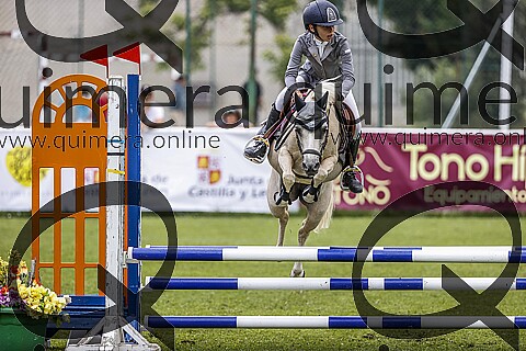 PONIS B 