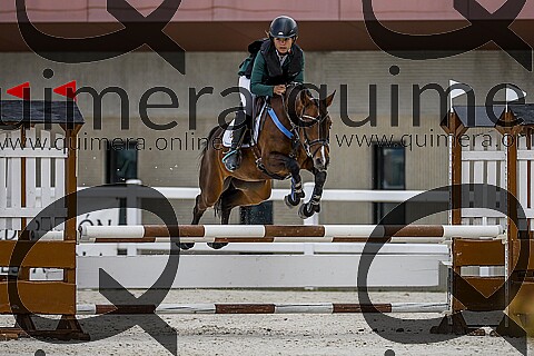 PONIS C