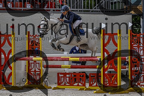 PONIS D