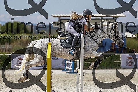PONIS D2