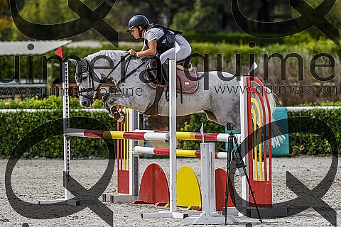 PONIS C