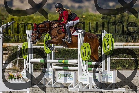 PONIS C2