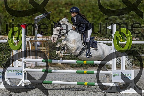 PONIS B