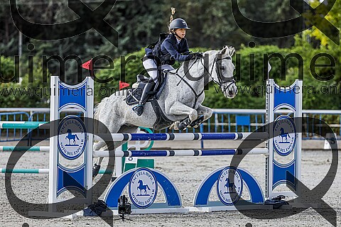 PONIS D2