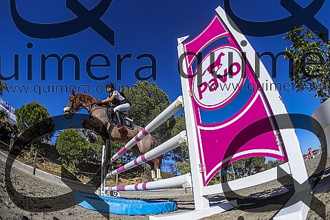 PONIS D2