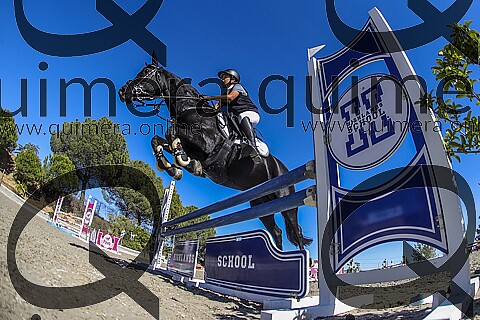 PONIS C2