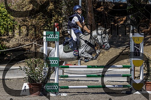 PONIS B