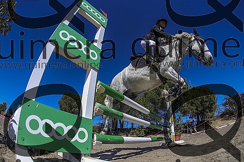 PONIS B2