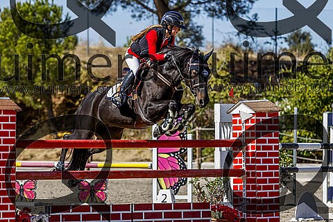 PONIS D