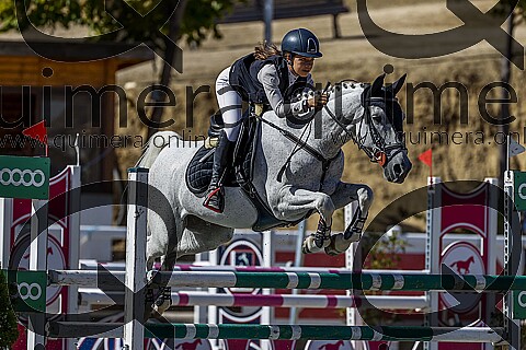 PONIS D2