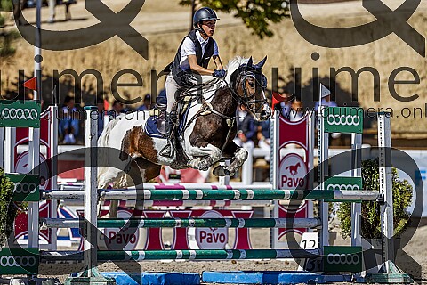 PONIS C2