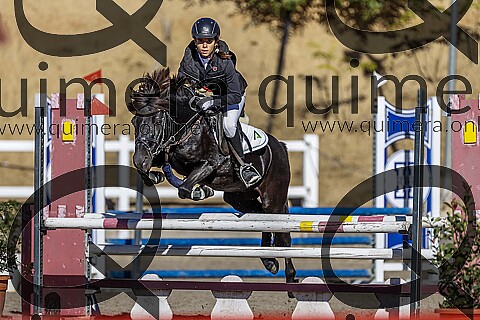 PONIS B2