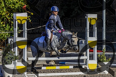 PONIS A2