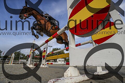 ALEVINES