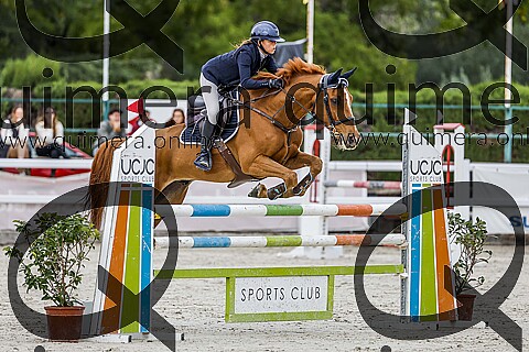 FINAL ALEVINES