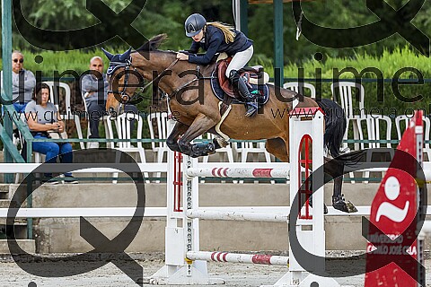 COMPLEMENTARIA 1,25-M