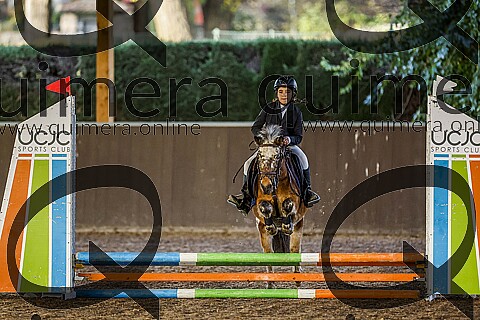PONIS A2