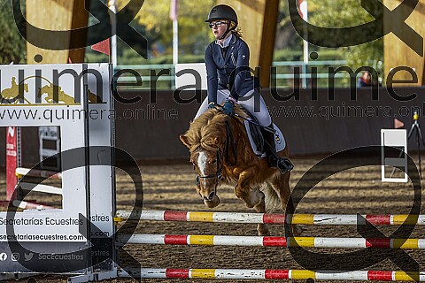 PONIS A 