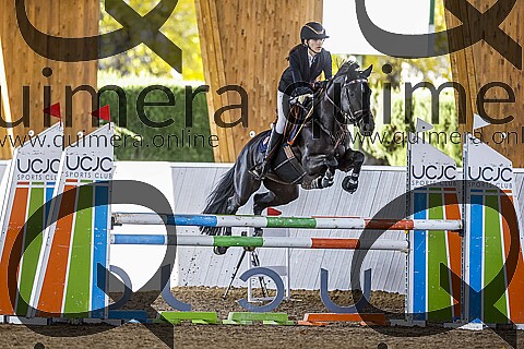 PONIS D2