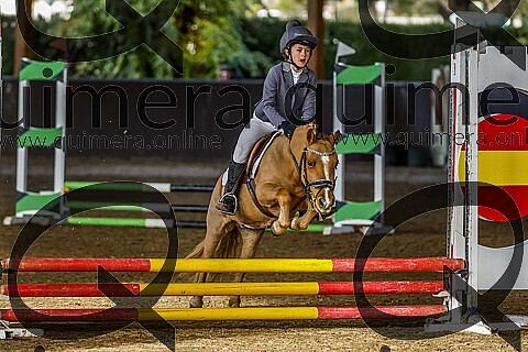 PONIS A2