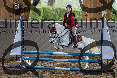 PONIS A