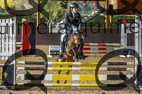 PONIS B2