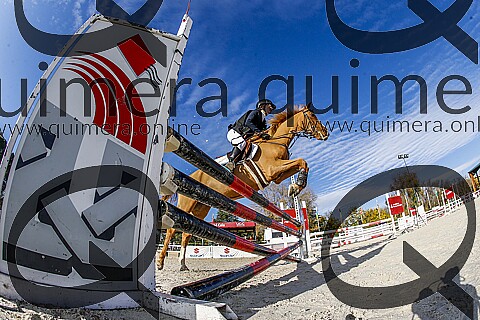 PONIS C2