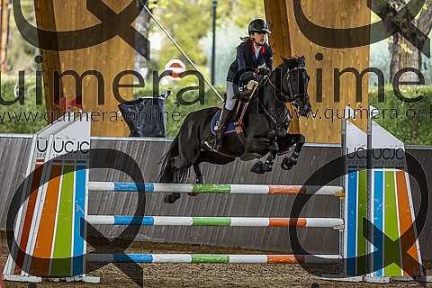 PONIS D2