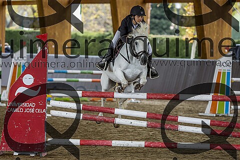 PONIS C 