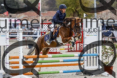PONIS B2