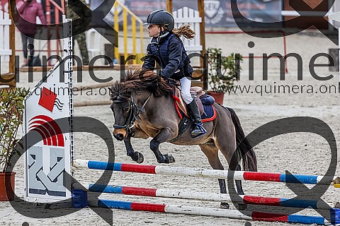 PONIS A2