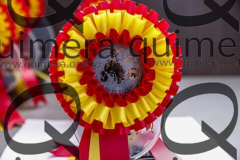 PREMIOS Ds