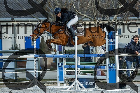 PONIS D