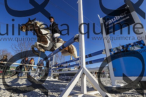 PONIS C2