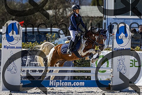 PONIS B2