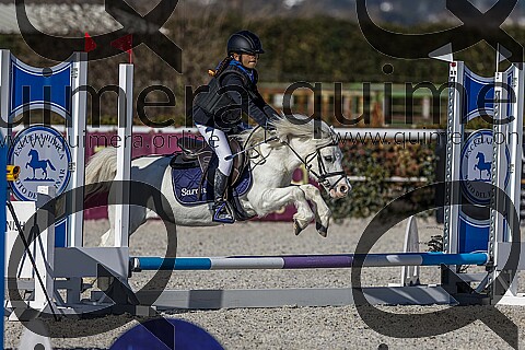 PONIS A2