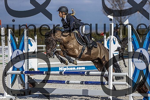 PONIS B2