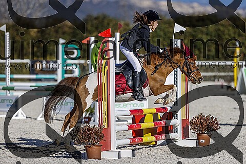 PONIS A