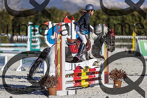 PONIS A2
