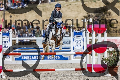 PONIS B
