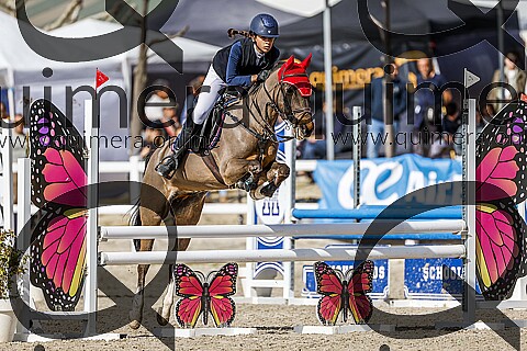 PONIS C2