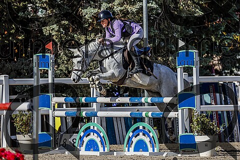 PONIS C