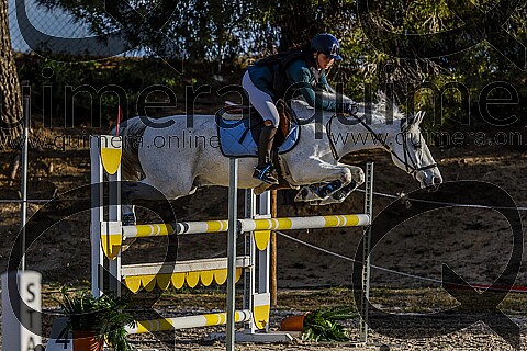 PONIS D