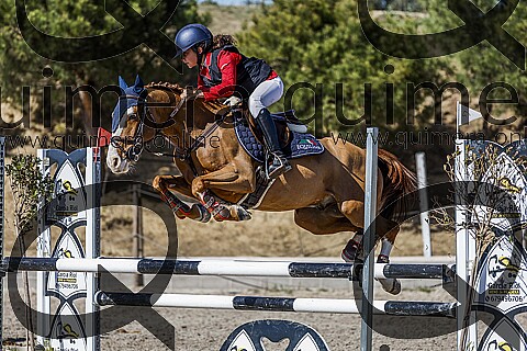 PONIS C