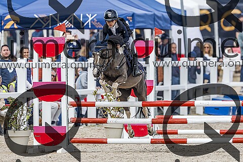 PONIS B2