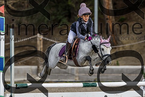 PONIS A