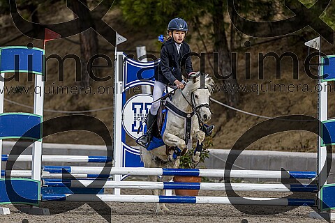 PONIS A2