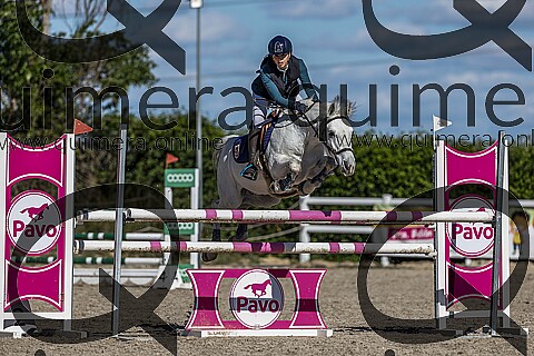PONIS D